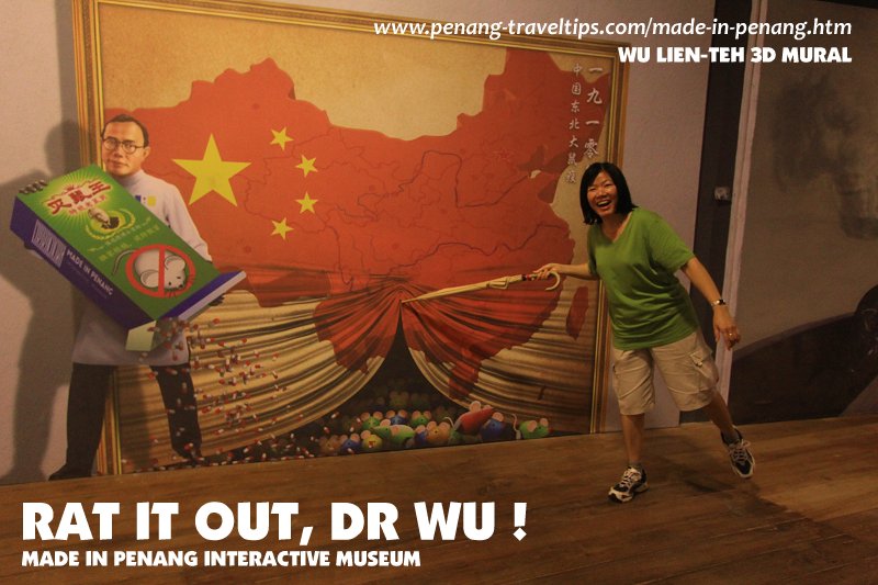 Wu Lien-teh 3D Mural
