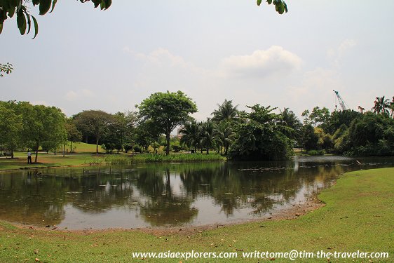 Eco Lake, Singapore Botanic Gardens