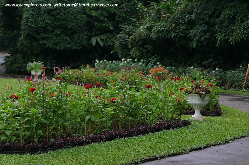 Flower garden, Peradeniya Botanical Gardens