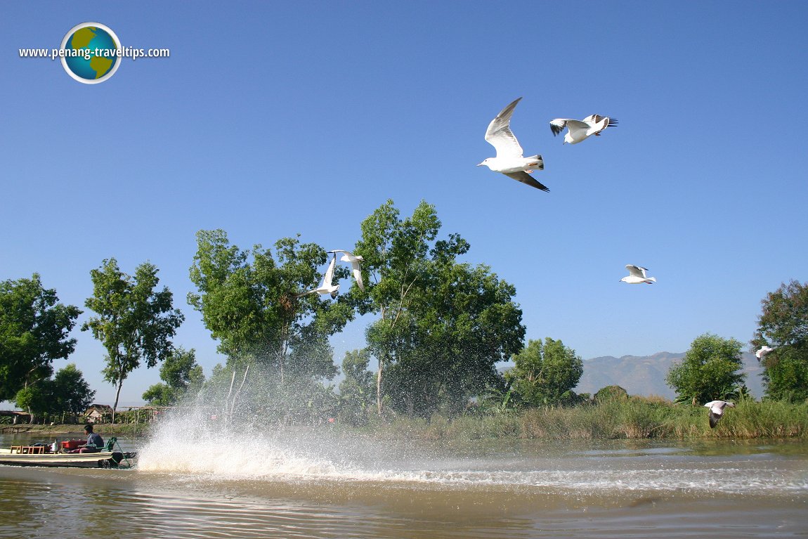 Inle Lake, Myanmar