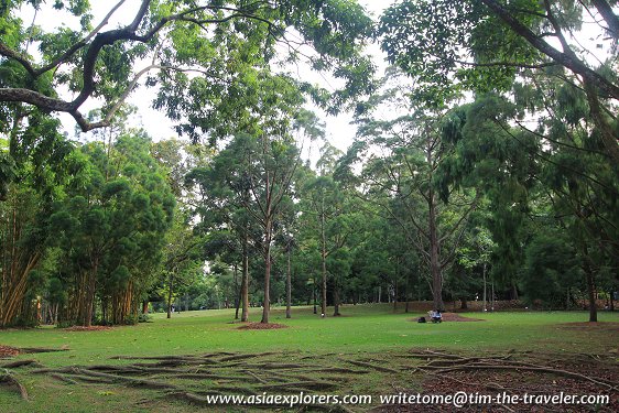 Landscaped garden, Singapore Botanic Gardens