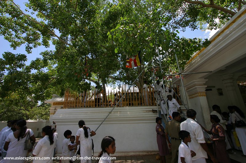 Pilgrims exiting