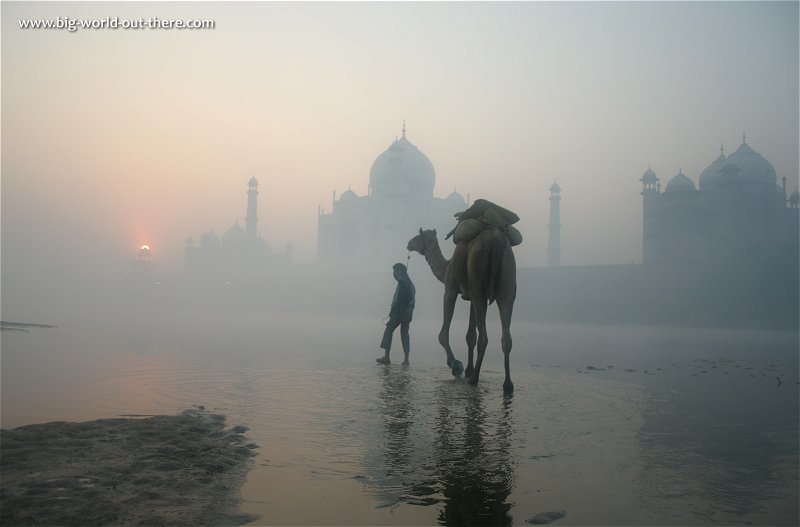 Man walking his camel beside the Yamuna River, with the Taj Mahal in the background