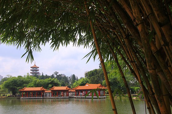 Tea House Pavilion, Chinese Garden