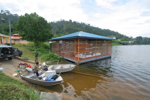 Boat Jetty, Temengor Lake