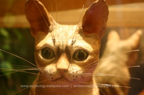 Cat Museum, Kuching