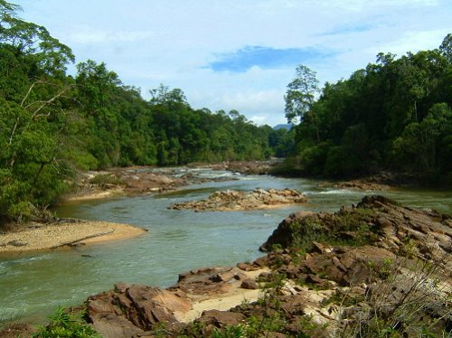 Kuala Jasin, Endau-Rompin National Park