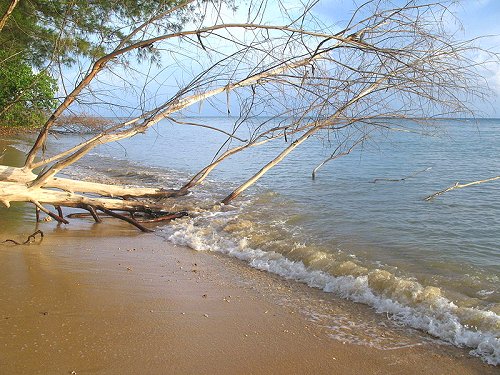 Pulau Tiga, Sabah