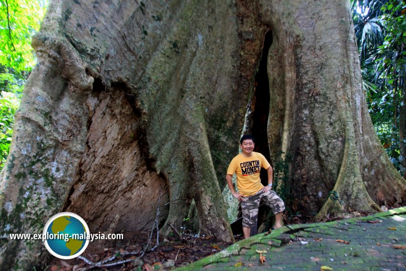 Batu Hampar, Kedah