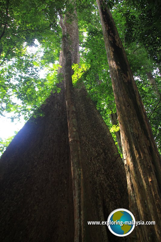 Batu Hampar, Kedah