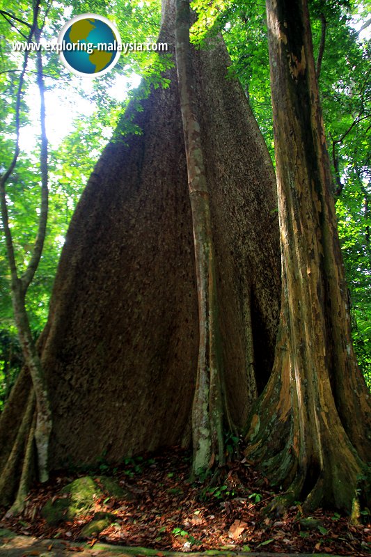 Batu Hampar, Kedah