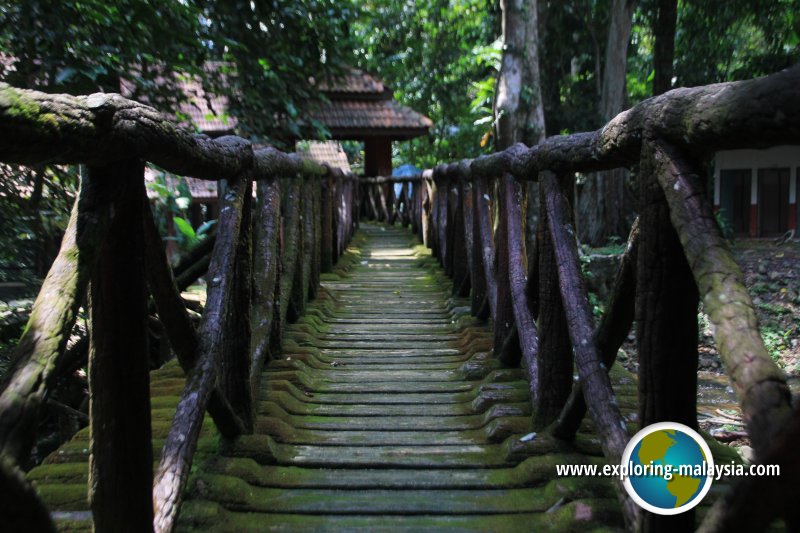 Batu Hampar Forest Reserve