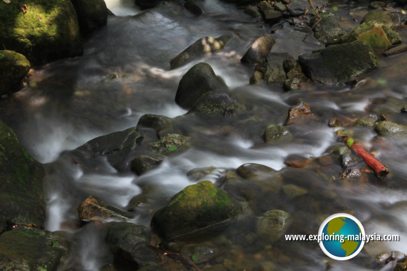 Batu Hampar Forest Reserve