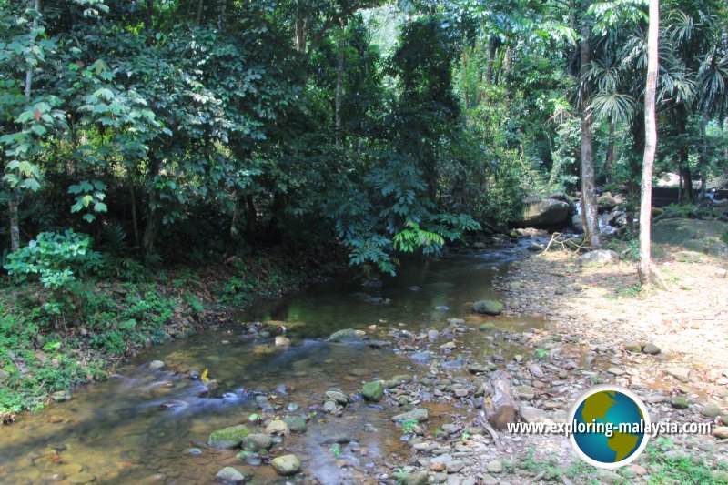 Batu Hampar Forest Reserve