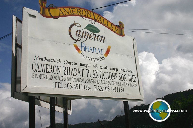 Bharat Tea Plantation, Cameron Highlands