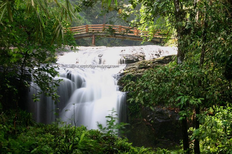 Bukit Hijau, Kedah