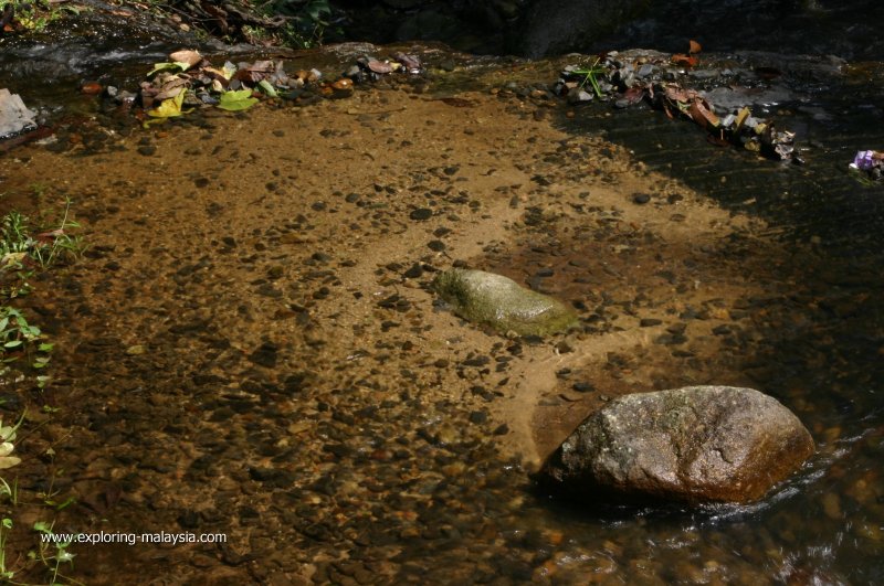 Bukit Hijau, Kedah