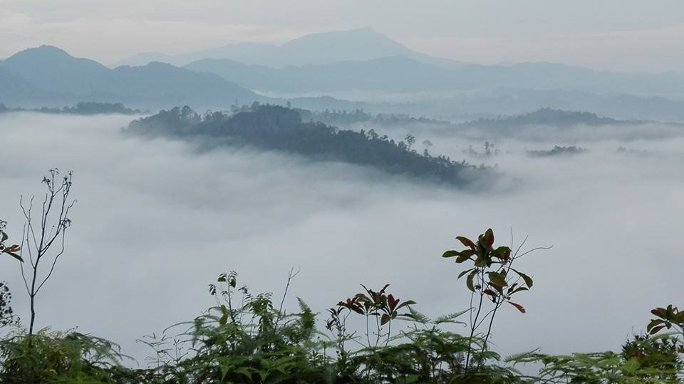 Misty view from Bukit Panorama