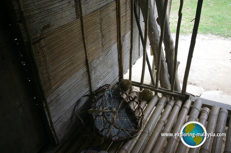 Cameron Highlands Orang Asli Village