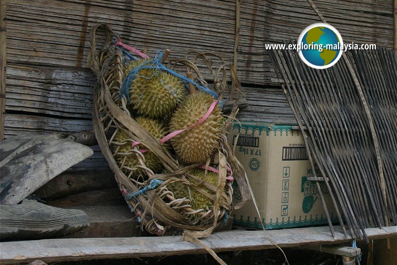 Cameron Highlands Orang Asli Village