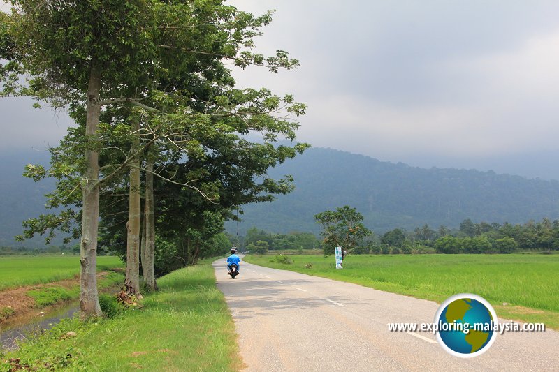 Country lane in Kedah