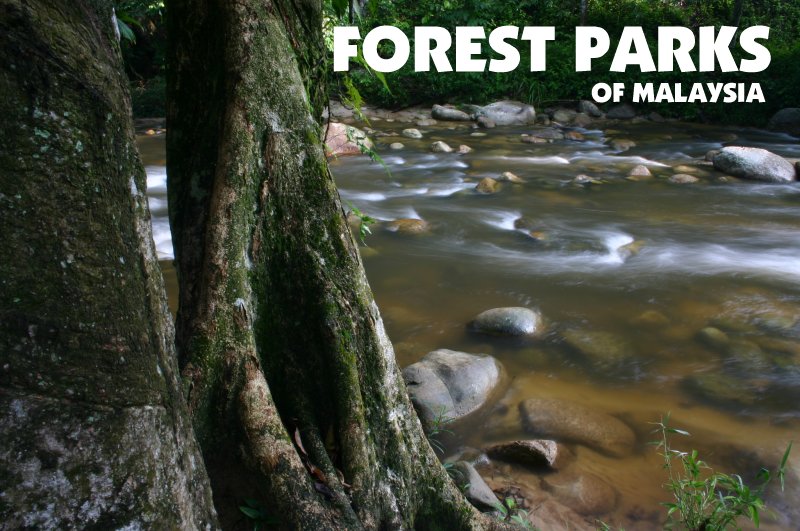 Forest Parks of Malaysia