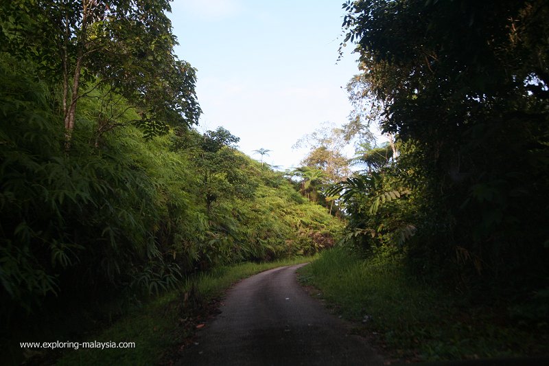 Gunung Inas Permanent Forest Reserve