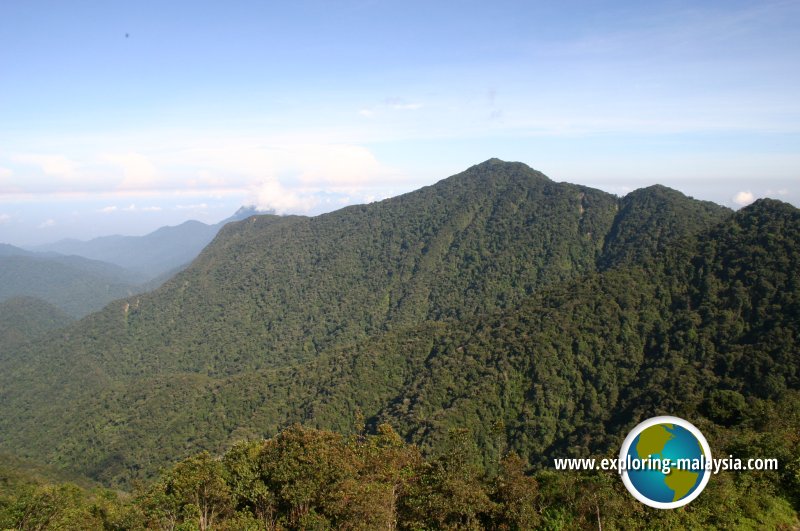 Gunung Irau