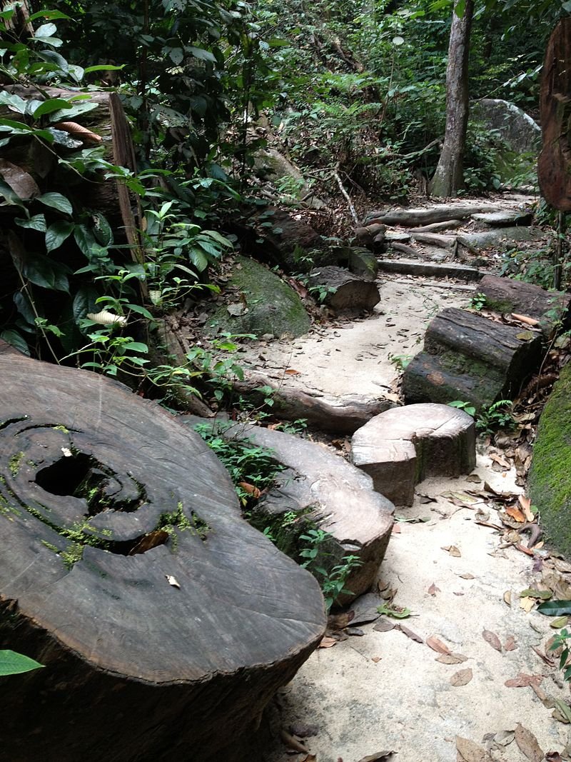 Gunung Ledang forest trek