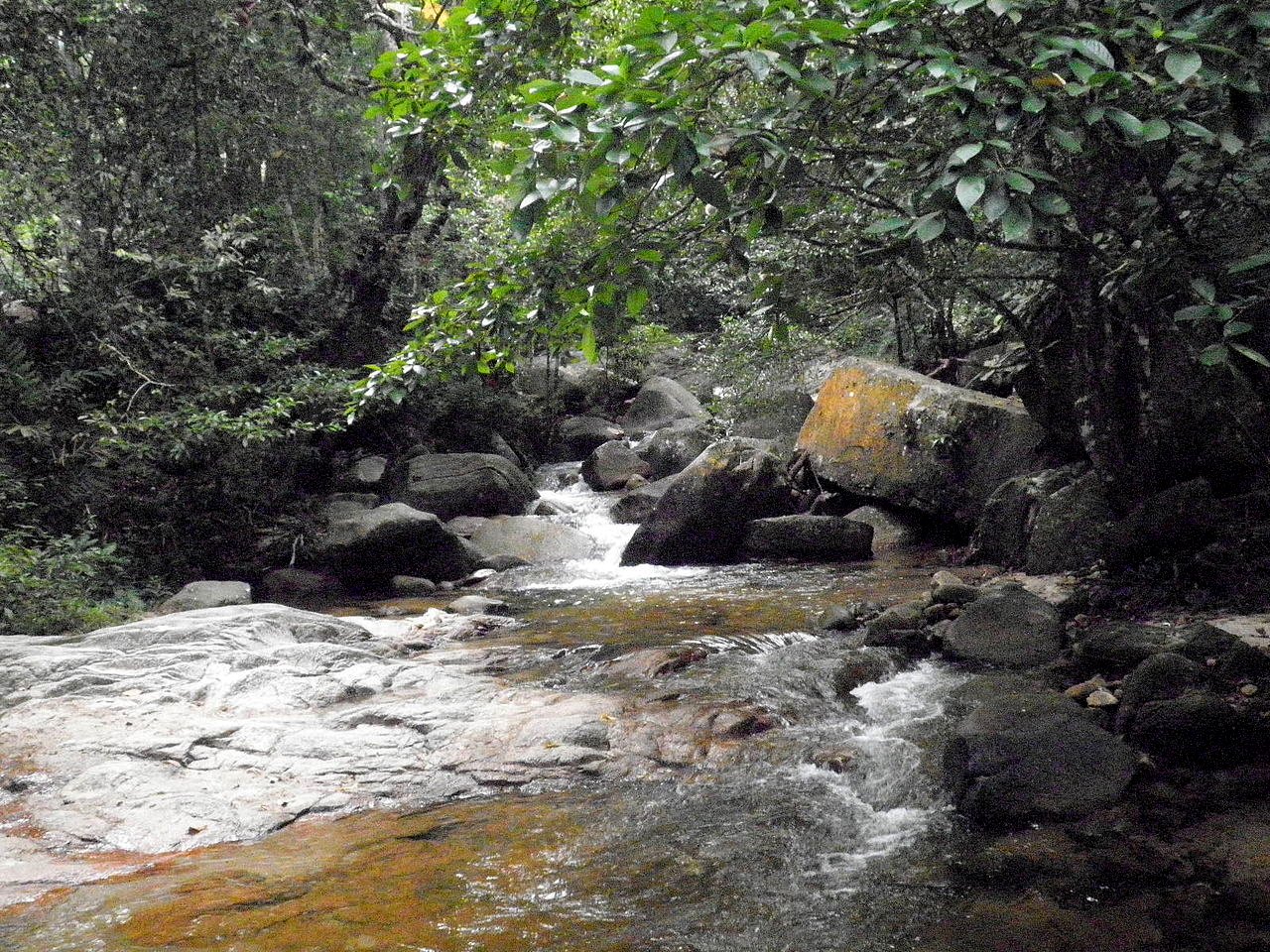 Gunung Ledang Recreational Forest