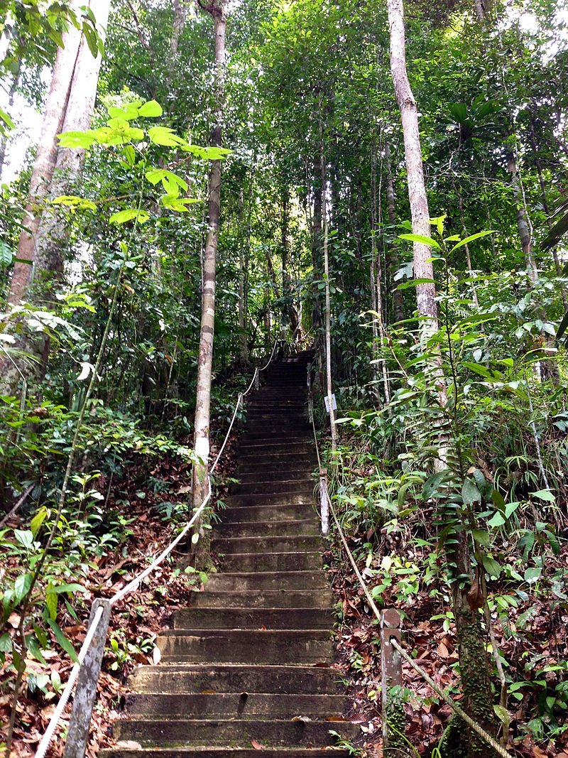 Lambir Hills National Park