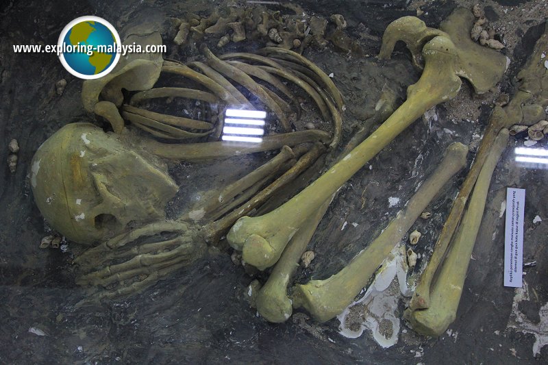Human skeleton replica