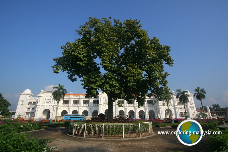 The Ipoh Tree