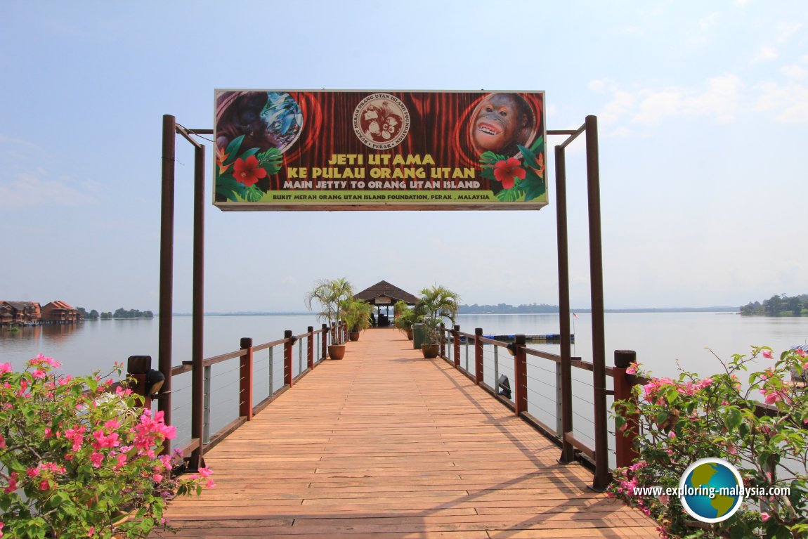 Jetty to Orang Utan Island