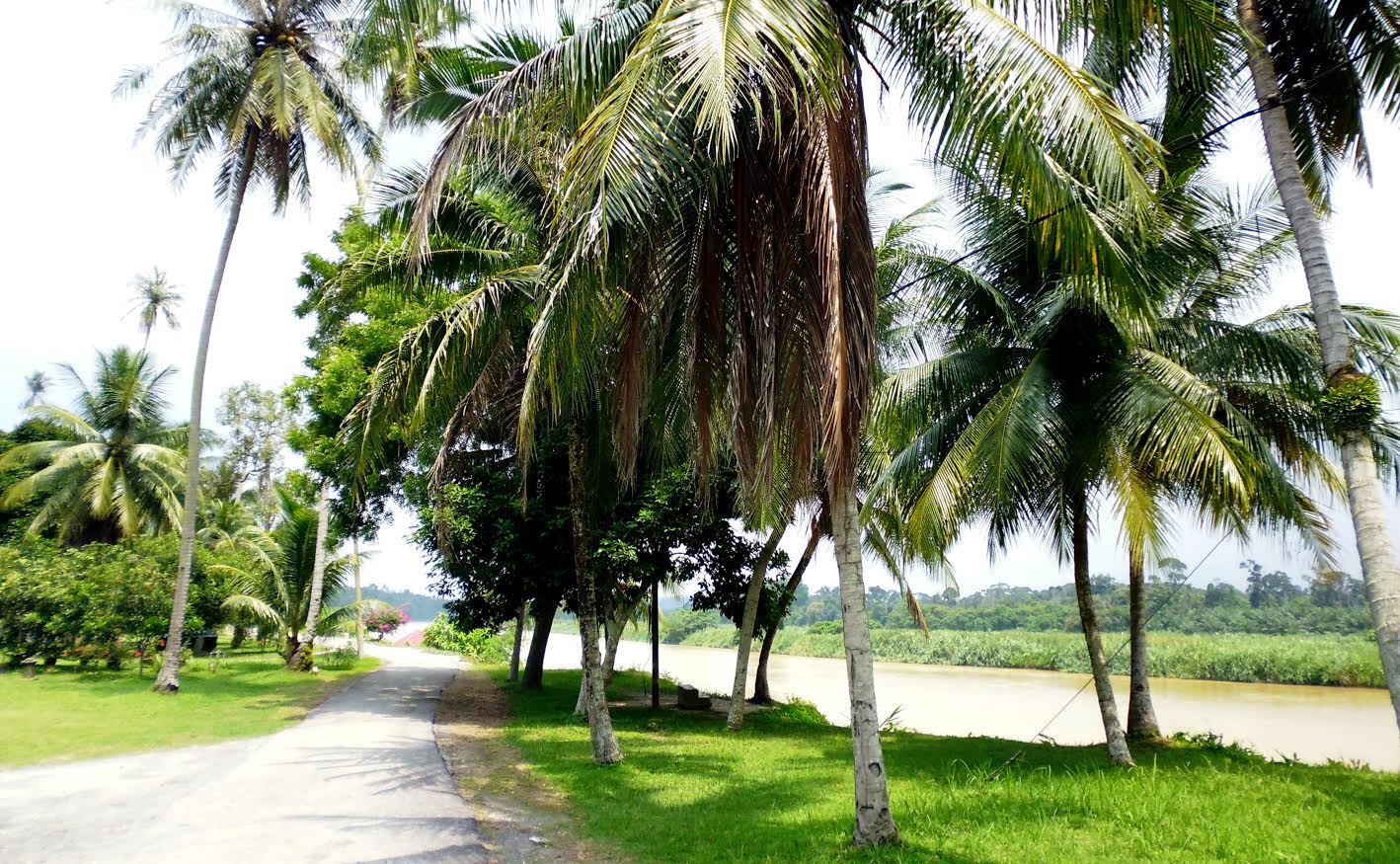 Kampung Mandah, Perak