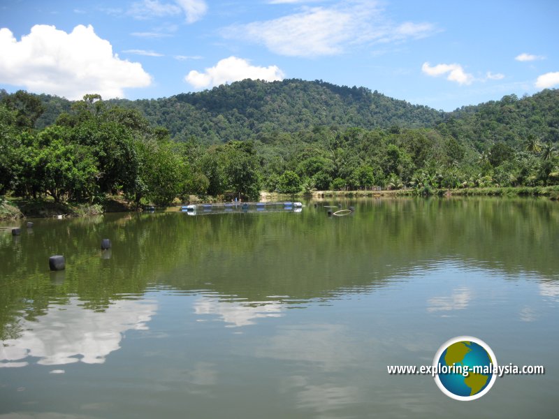 Kemunting Lake View Restaurant