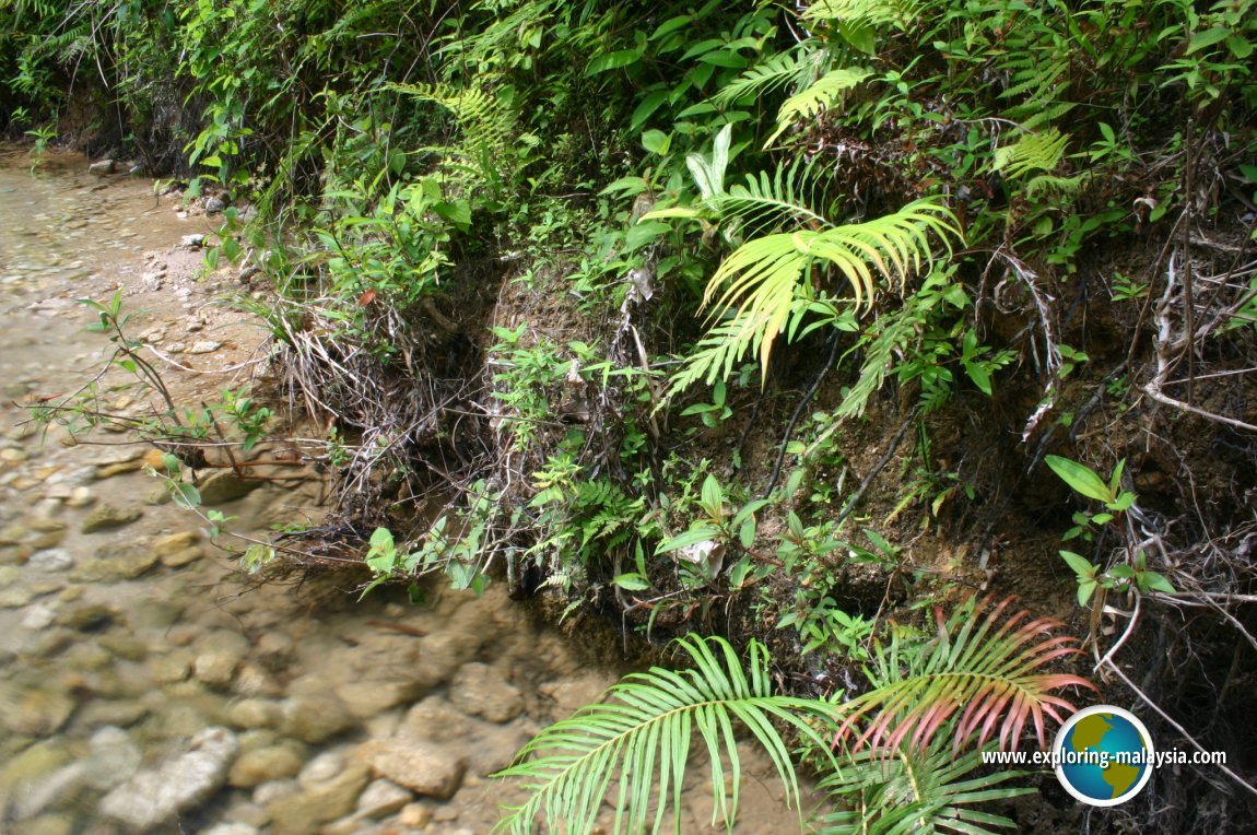 La Hot Spring