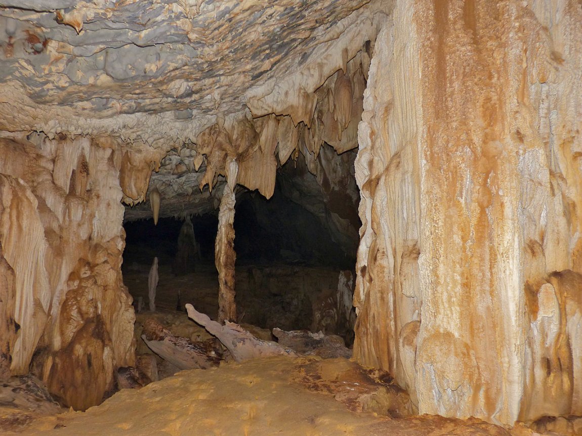 Lagang Cave, Mulu National Park