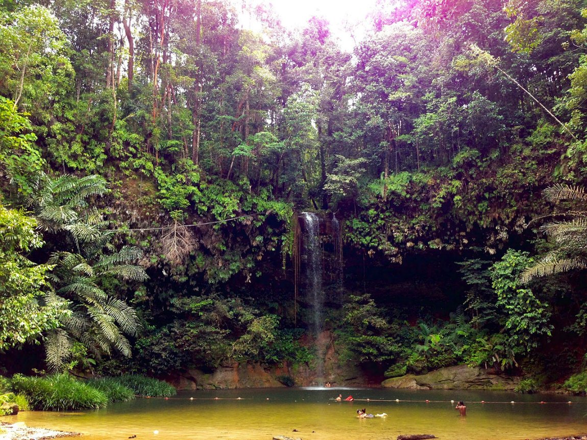 Lambir Hills National Park