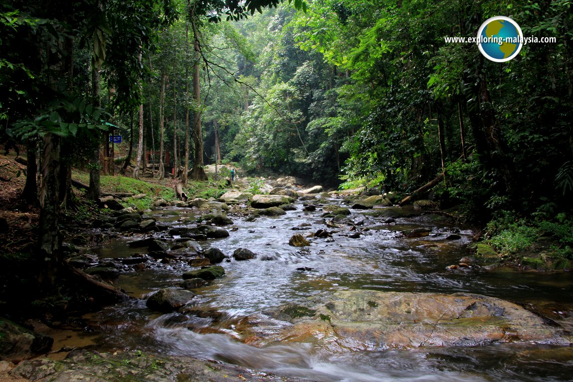 Lata Kekabu Waterfall