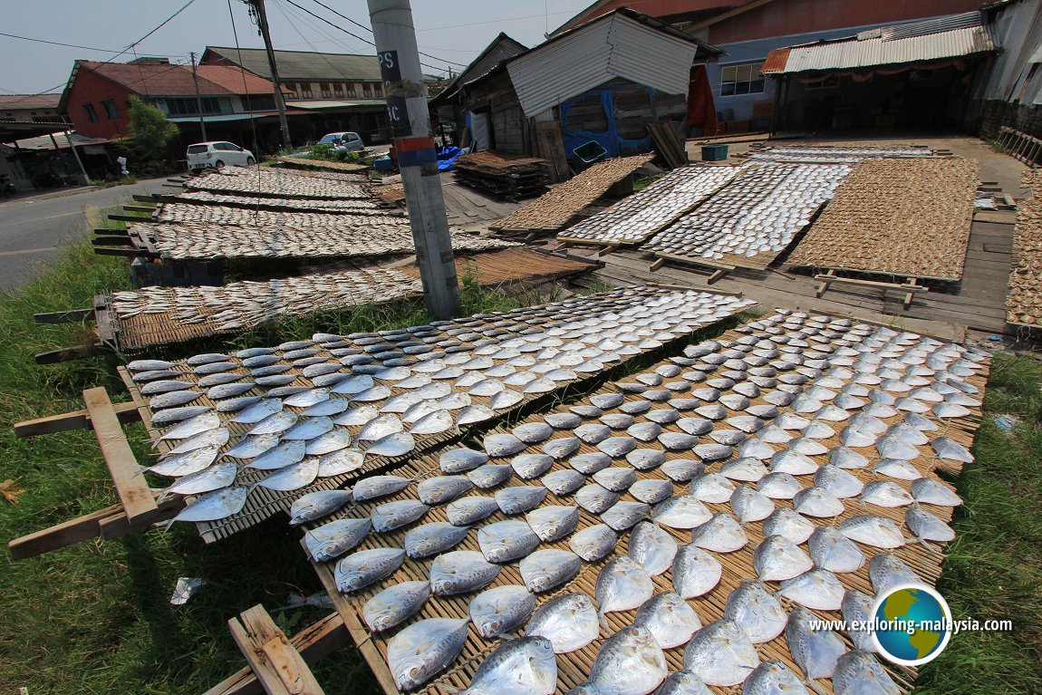 The making of salted fish in Tanjung Piandang