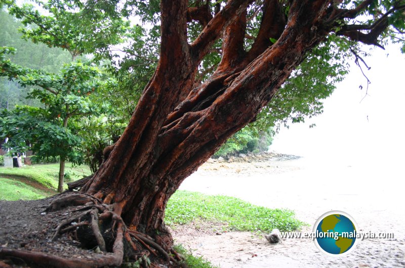 Pantai Pasir Tengkorak, Langkawi