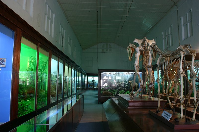 Perak Museum, Taiping