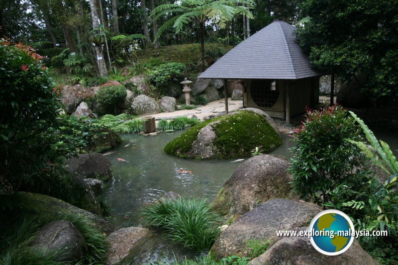 Pond at Japanese Village