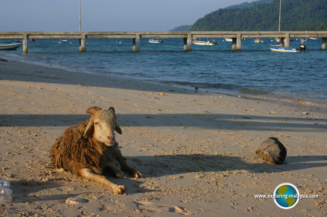 Pulau Perhentian Kecil