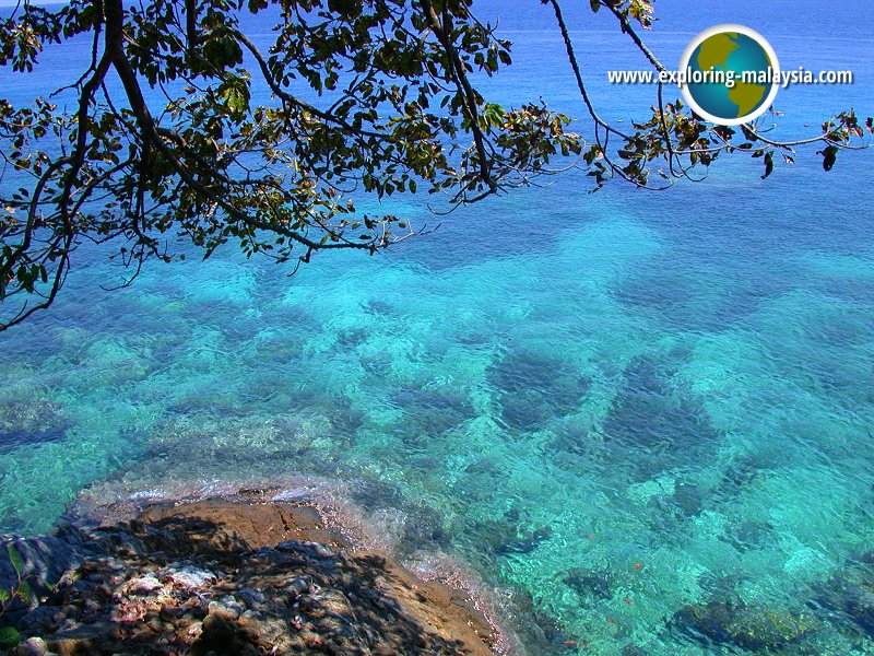 Pulau Pinang, Terengganu