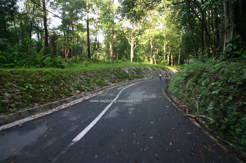 Road up Maxwell Hill