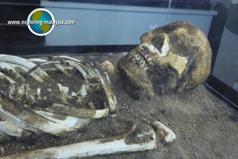 Skeleton from Gua Cha in Kelantan