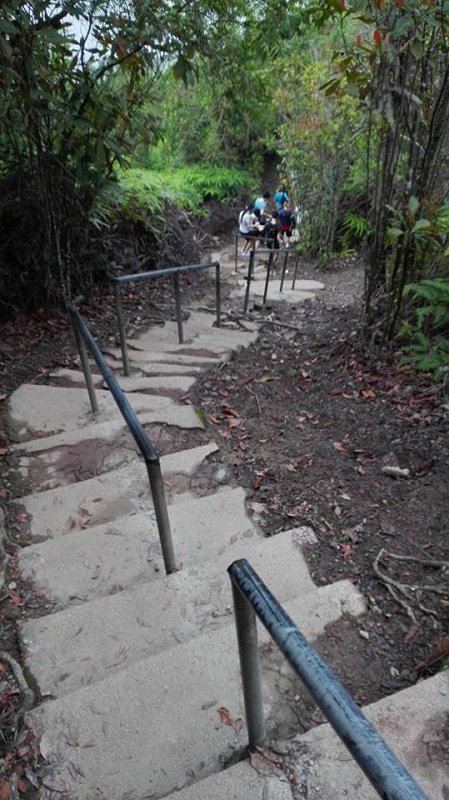 Steps descending Bukit Panorama