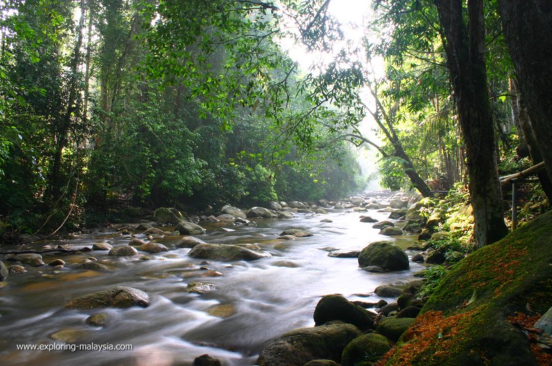 Hutan Lipur Sungai Sedim Kedah Malaysia